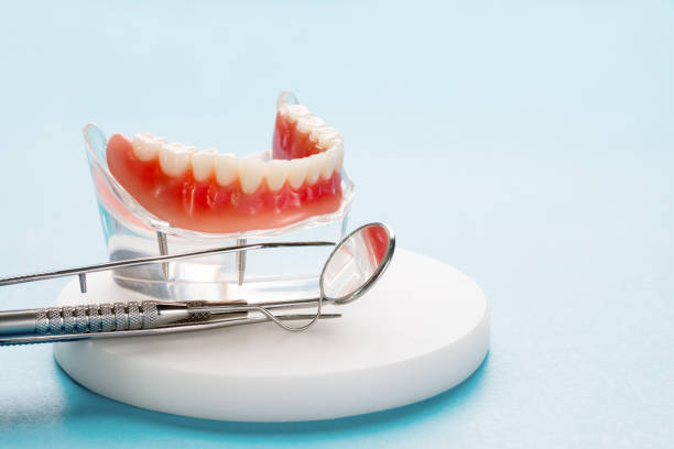 Best Preventive Dentistry  in Lockhart, FL
